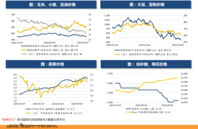 2021年8月新股申購一覽與計算機(jī)設(shè)備租賃行業(yè)前瞻