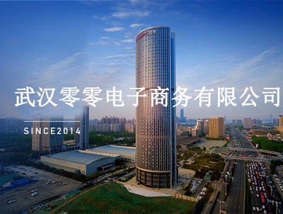 武漢零零電子商務(wù)有限公司 專業(yè)計算機(jī)及輔助設(shè)備租賃服務(wù)商